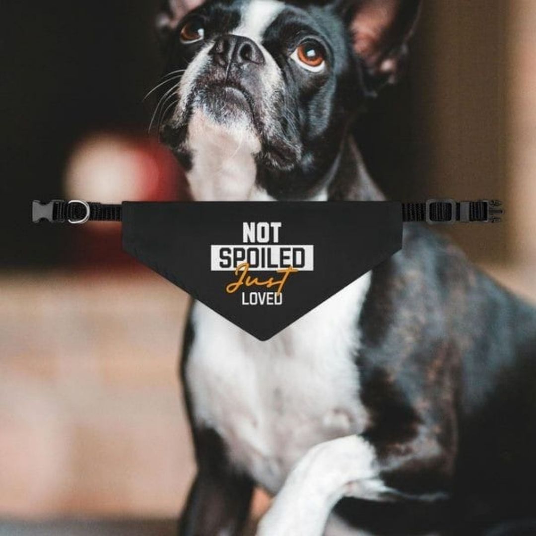 Adjustable Dog Collar with Bandana - Image 3