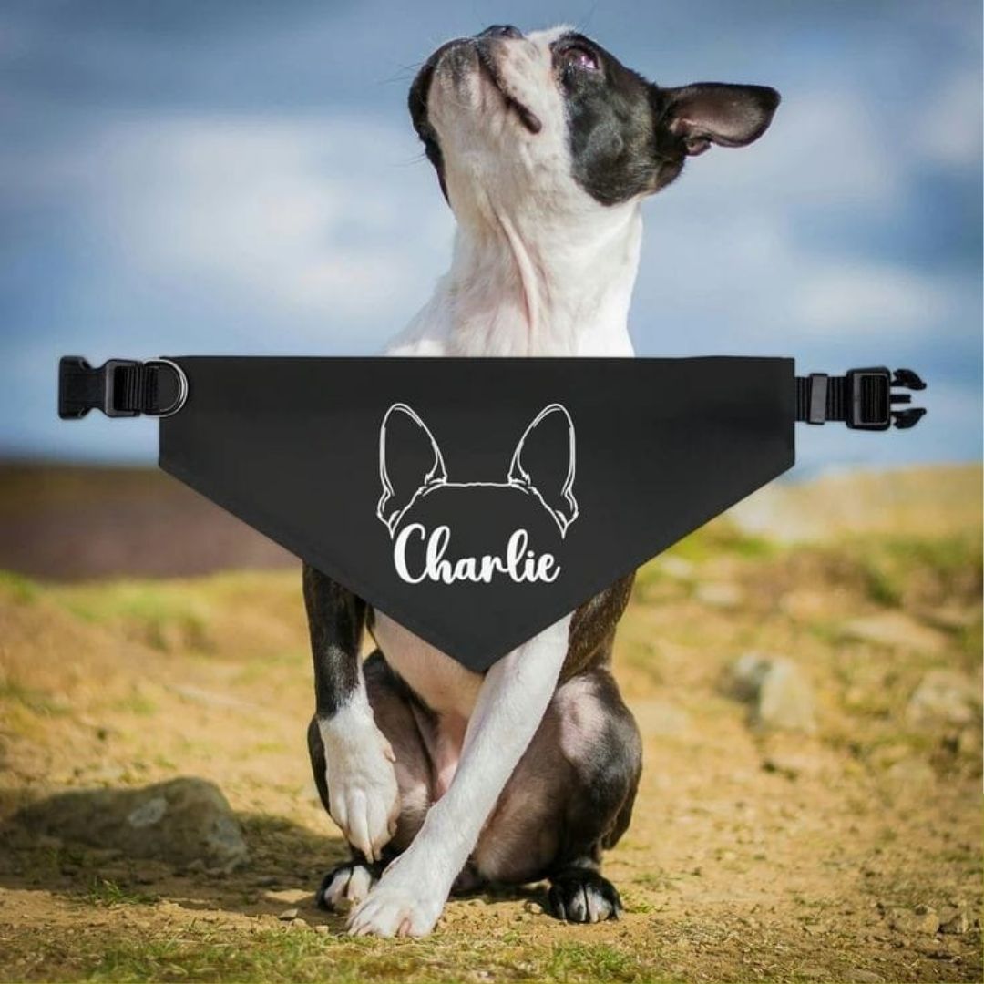 Adjustable Dog Collar with Bandana - Image 2